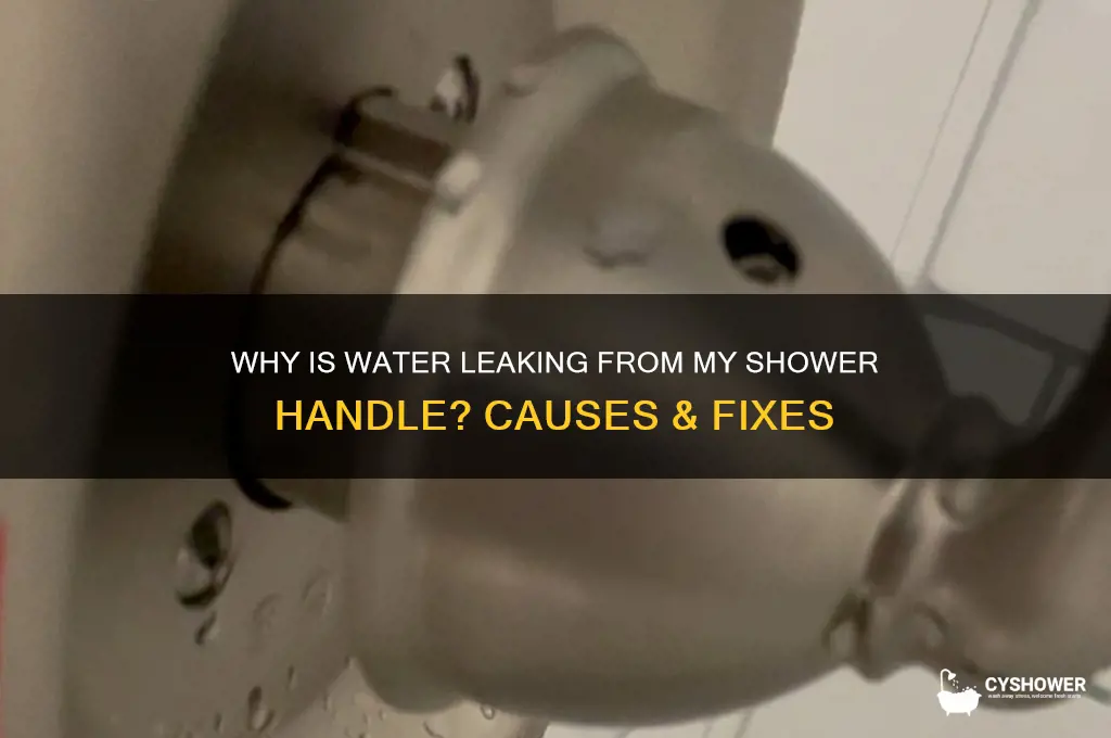why is water coming out of my shower handle