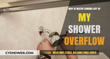 Why Is Water Coming Out of My Shower Overflow? Causes and Fixes