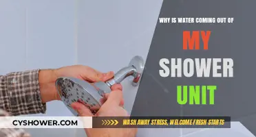 Why Is Water Leaking from My Shower Unit? Causes and Fixes