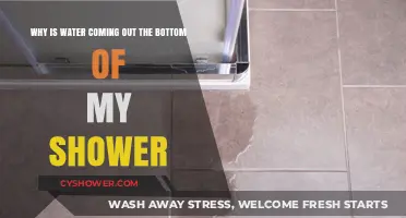 Why Is Water Leaking from the Bottom of My Shower?