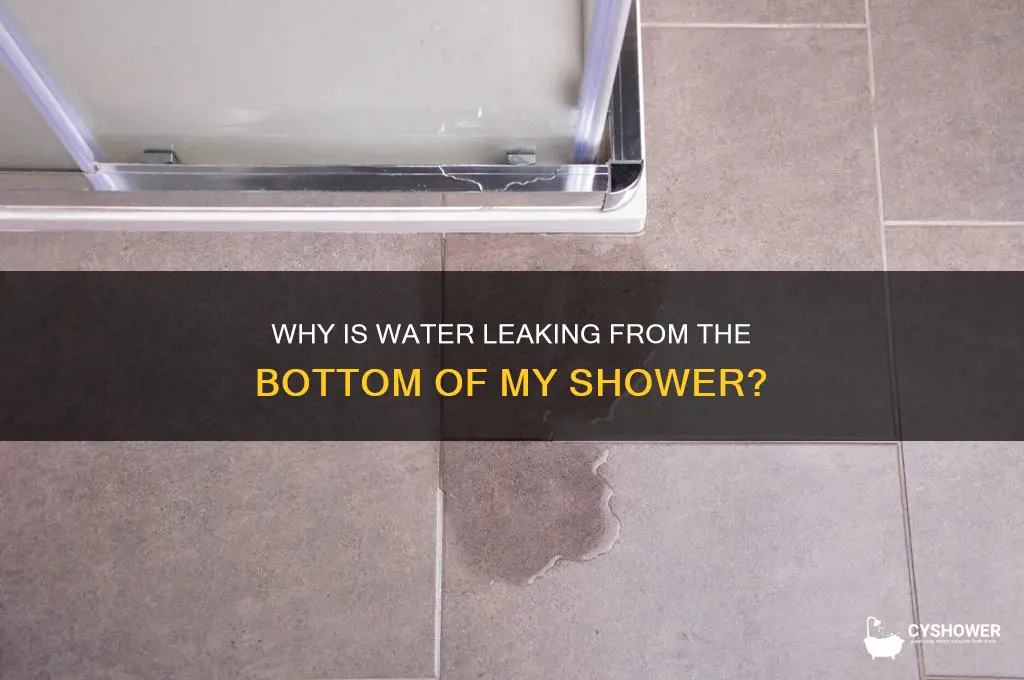 why is water coming out the bottom of my shower