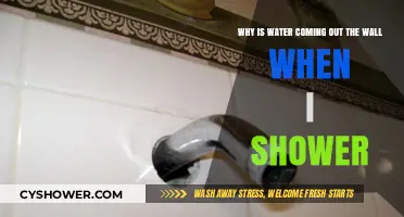 Shower Leaks: Why Water is Seeping Through Your Walls