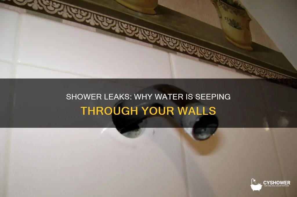 why is water coming out the wall when i shower