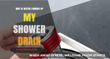 Why Water Backs Up: Shower Drain Issues Explained
