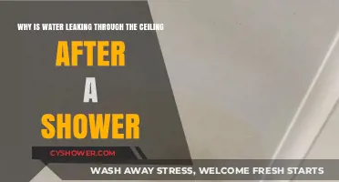 Ceiling Leak After Shower: Causes and Quick Fixes Explained