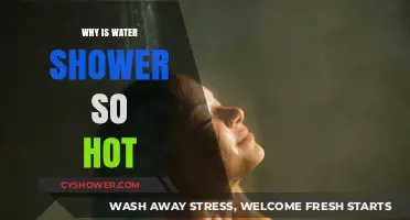 Why Your Water Shower Gets So Hot: Causes and Solutions