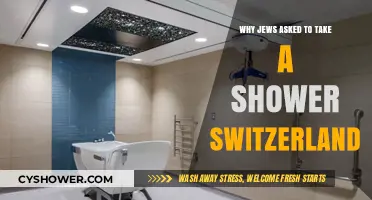 Switzerland's Dark Secret: The Shower Deception Targeting Jews