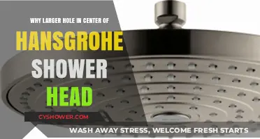 Hansgrohe Shower Head: The Purpose of Its Larger Center Hole