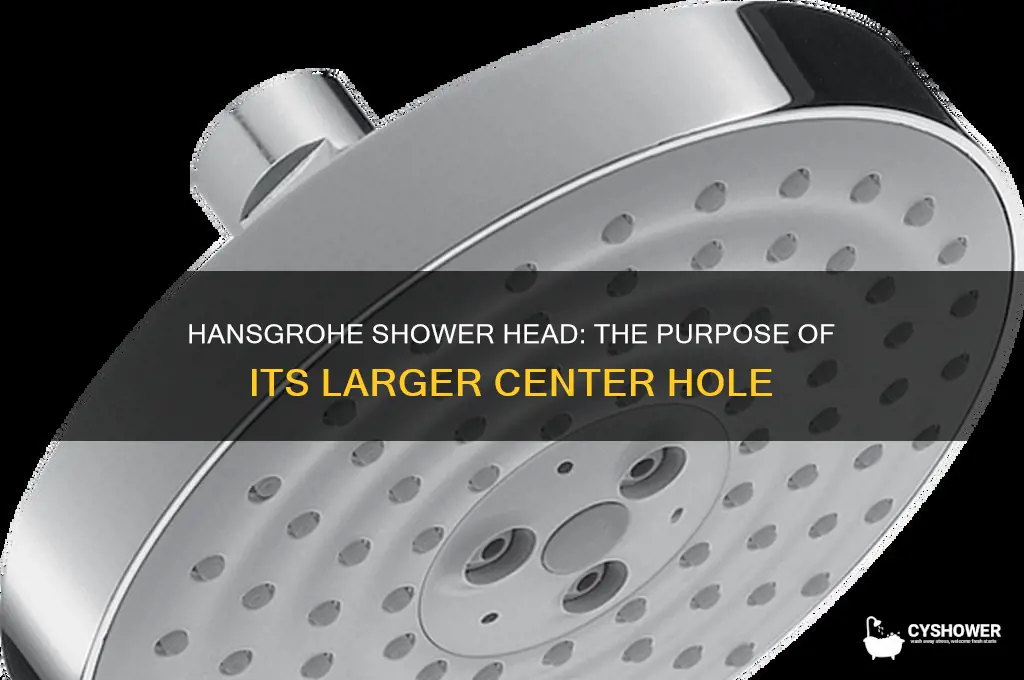 why larger hole in center of hansgrohe shower head