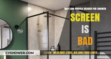 Low Profile Shower Screen Headers: Hidden Dangers and Common Issues