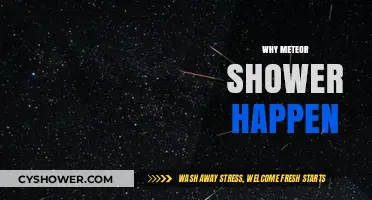Celestial Fireworks: Unveiling the Science Behind Meteor Showers