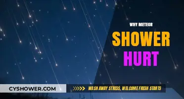 Do Meteor Showers Pose Any Danger to Earth or Humans?