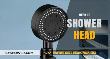 Why Mist Shower Heads Are the Ultimate Upgrade for Your Bathroom