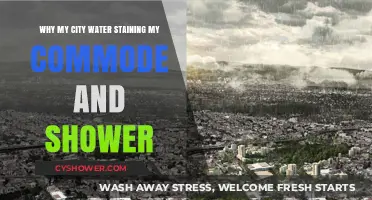 Why City Water Causes Stains in Your Toilet and Shower
