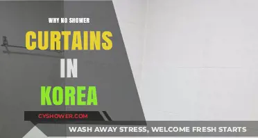 Shower Curtain Mystery: Why Korea Prefers Wet Bathrooms
