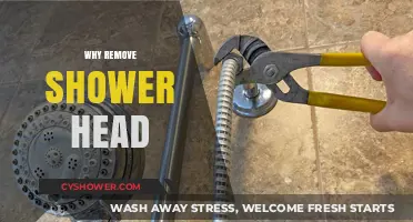 Why Remove Your Shower Head? Benefits and Easy Maintenance Tips