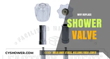 Upgrade Your Shower Experience: Reasons to Replace Your Shower Valve