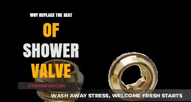 Upgrade Your Shower: Why Replacing the Valve Seat is Essential