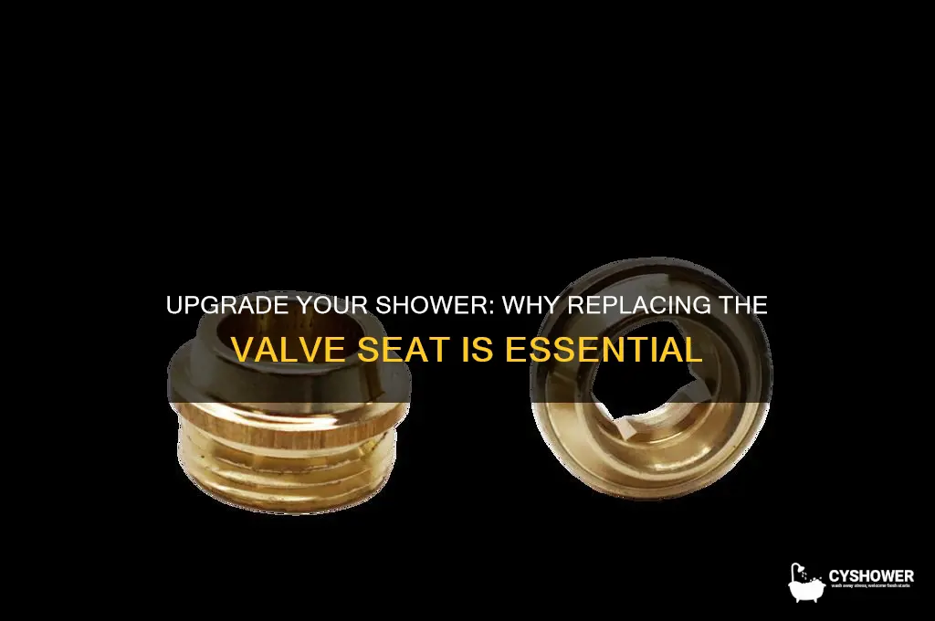 why replace the seat of shower valve