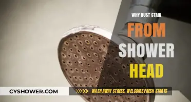 Why Rust Stains Appear on Your Shower Head and How to Fix It