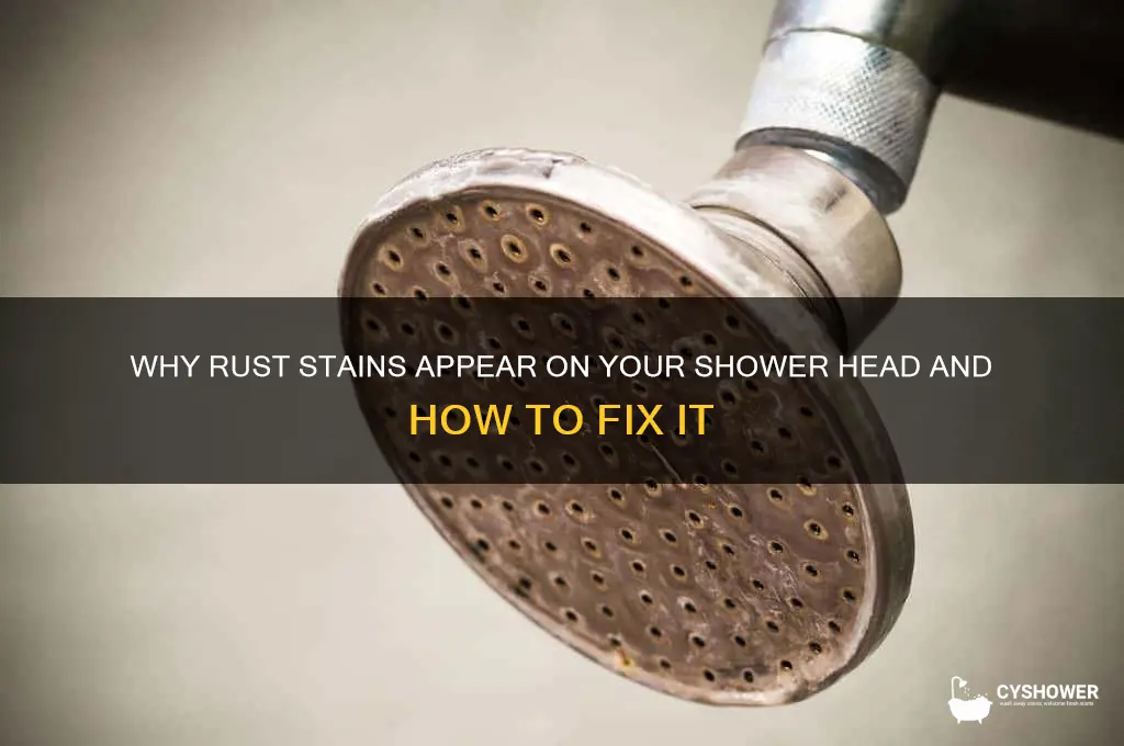 why rust stain from shower head
