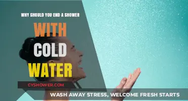 Refresh Your Routine: Benefits of Ending Showers with Cold Water