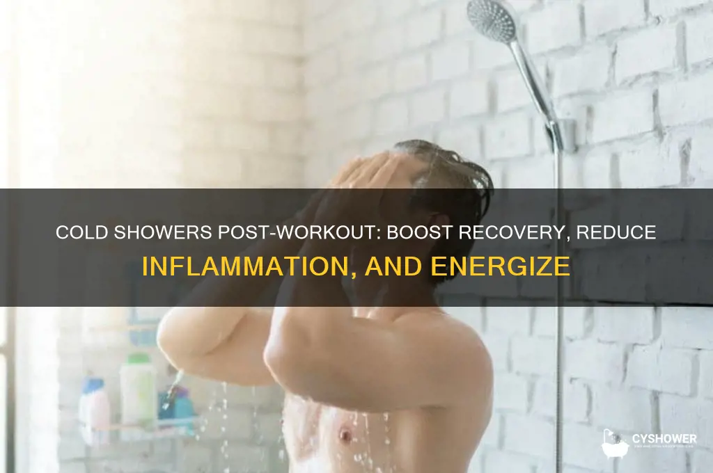 why should you take a cold shower after working out
