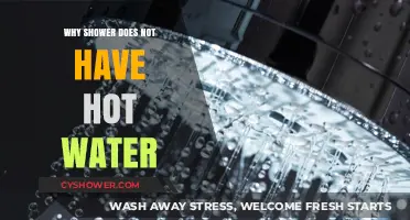 Why Your Shower Lacks Hot Water: Common Causes and Fixes