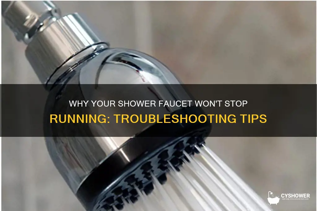 why shower faucet cant stop water