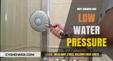 Why Your Shower Has Low Water Pressure: Common Causes & Fixes