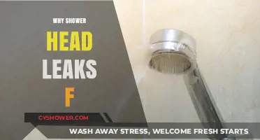 Why Shower Head Leaks: Common Causes and Quick Fixes