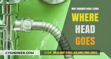 Why Shower Hose Leaks at the Head Connection: Causes and Fixes