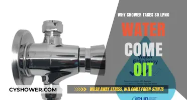 Why Does Shower Water Take So Long to Come Out?