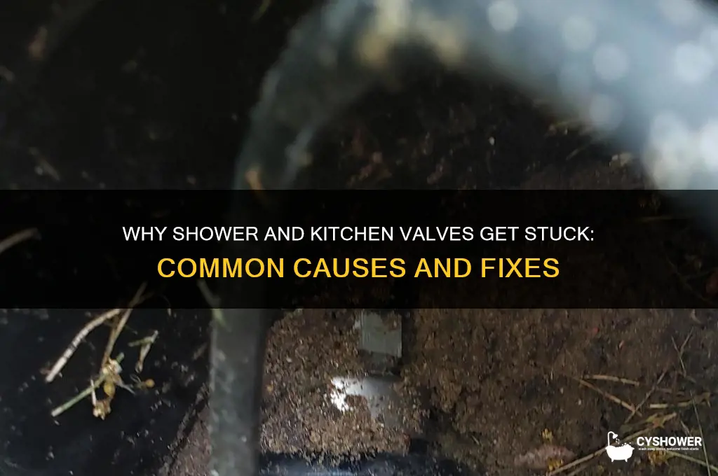 why shower valve and kitchen valve get stuck