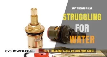 Troubleshooting Shower Valve Issues: Why Your Water Flow Is Struggling
