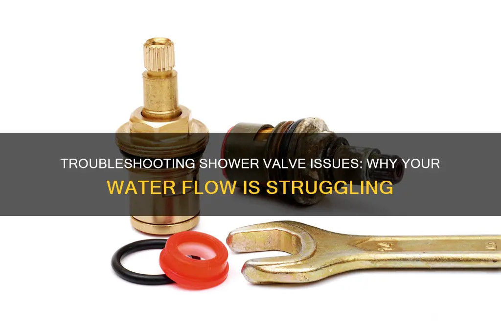 why shower valve struggling for water