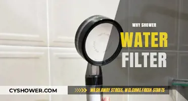 Why Shower Water Filters Are Essential for Healthier Skin and Hair