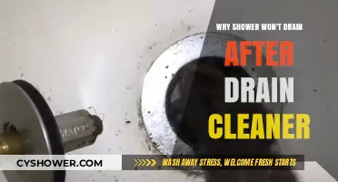 Why Your Shower Still Won’t Drain After Using Drain Cleaner