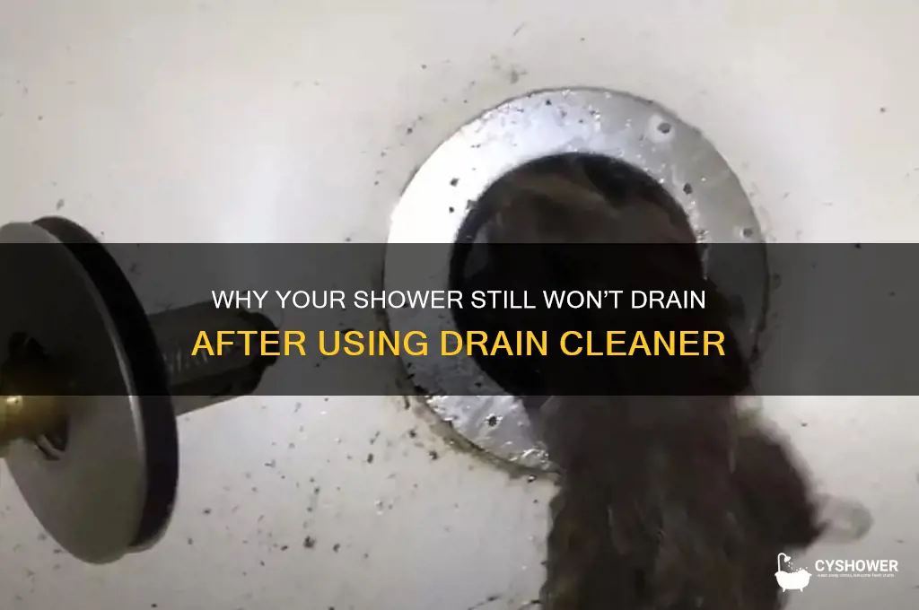 why shower won