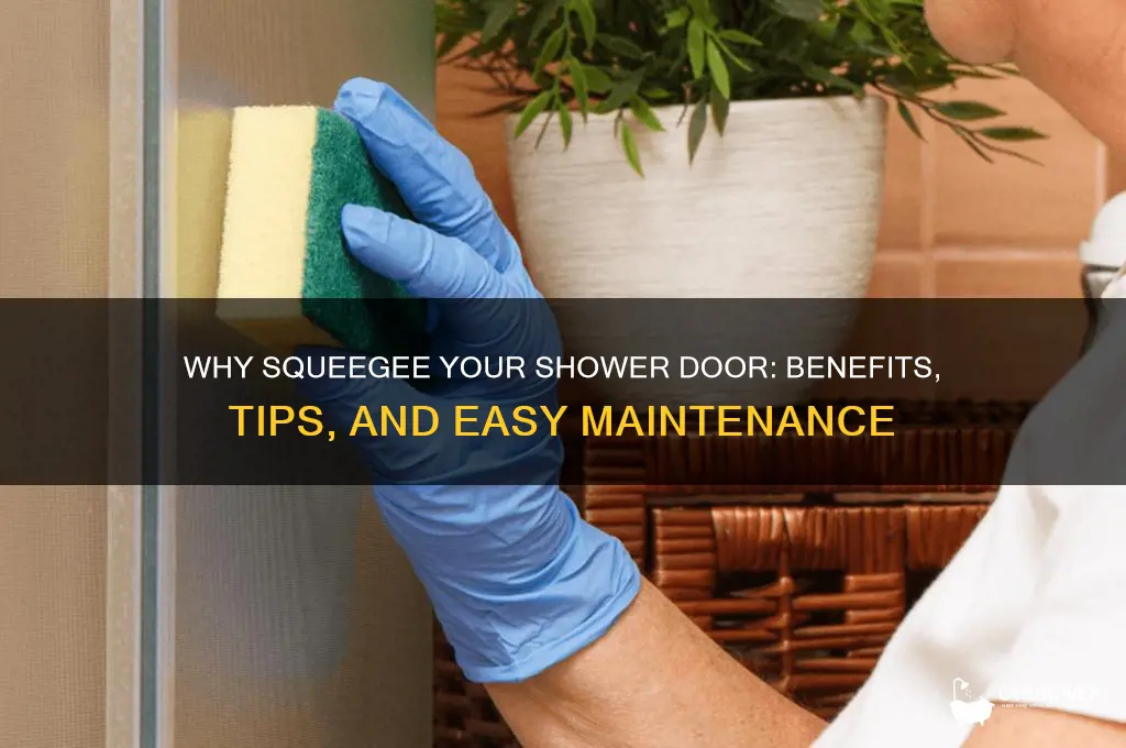 why squeegee shower door
