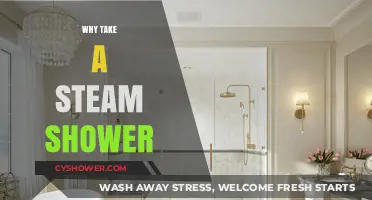 Unwind and Rejuvenate: Discover the Benefits of Steam Showers