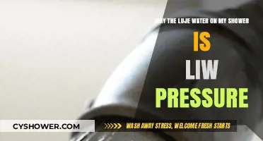 Low Shower Pressure? Causes and Fixes for Weak Water Flow