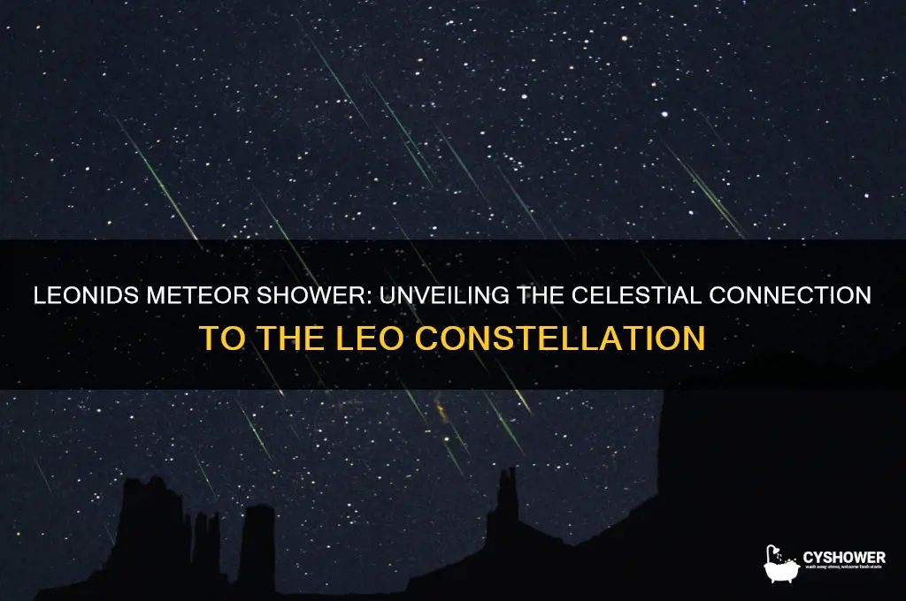 why was the meteor shower called leonids
