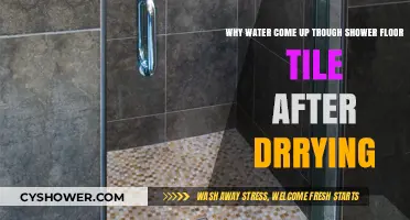 Why Water Rises Through Shower Floor Tiles After Drying