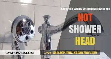 Bathtub Faucet Running, Shower Head Dry: Troubleshooting Your Plumbing Issue