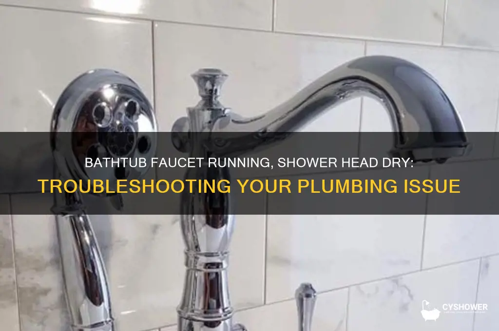 why water coming out bathtub faucet and not shower head