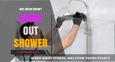 Why Your Shower Isn’t Working: Common Causes and Fixes