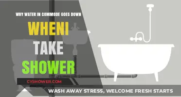 Why Does Commode Water Drain During Showers? Explained Simply
