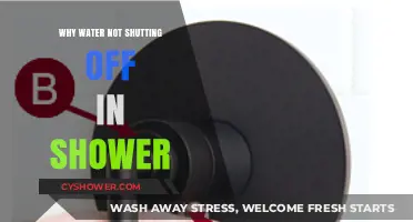 Troubleshooting Persistent Shower Water Flow: Why It Won't Shut Off