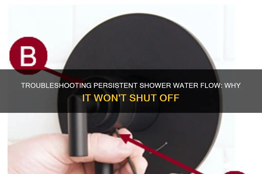 why water not shutting off in shower